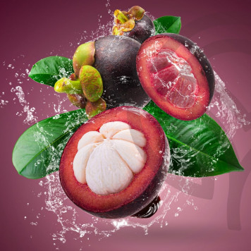 Zambroza (Zambroza) NSP antioxydant liquide