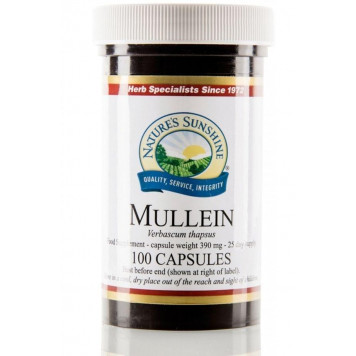 Niébé (molène) PS