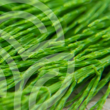 Complexe de prêle et de romarin 100 gélules