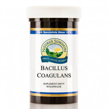 Bacillus coagulans (Bacillus coagulans) probiotique 